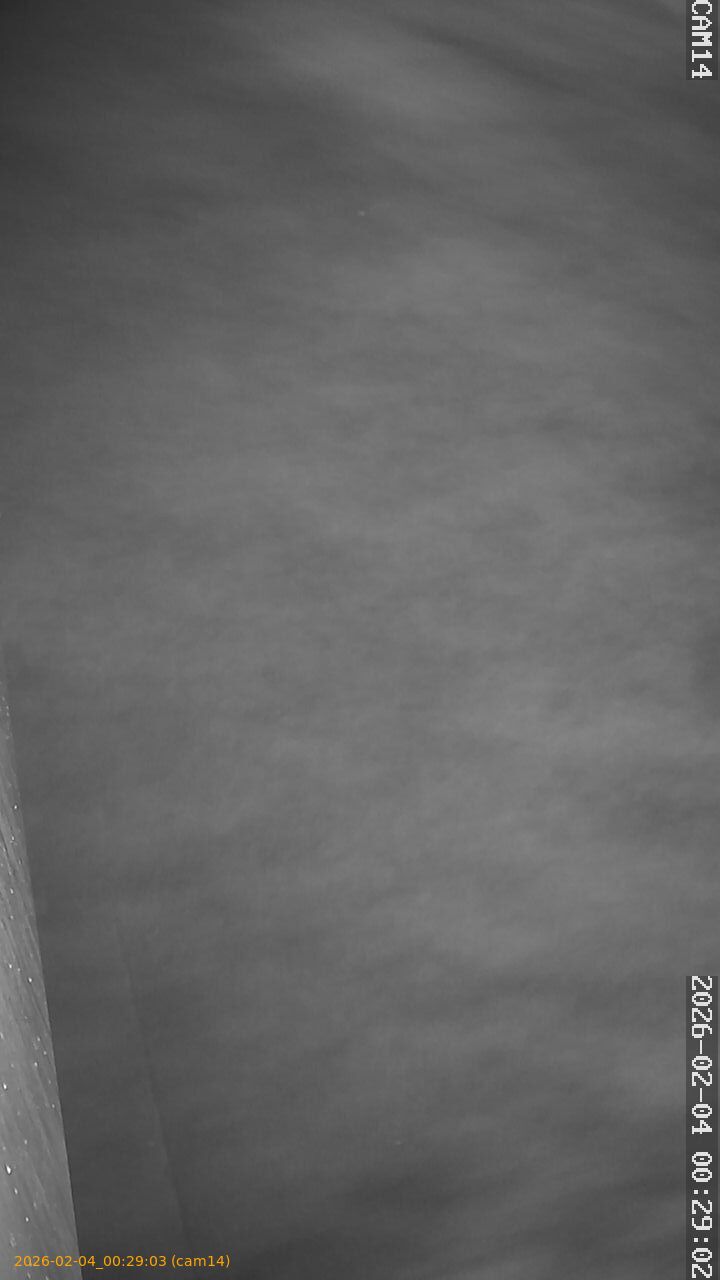 thumbnail_20260204002903