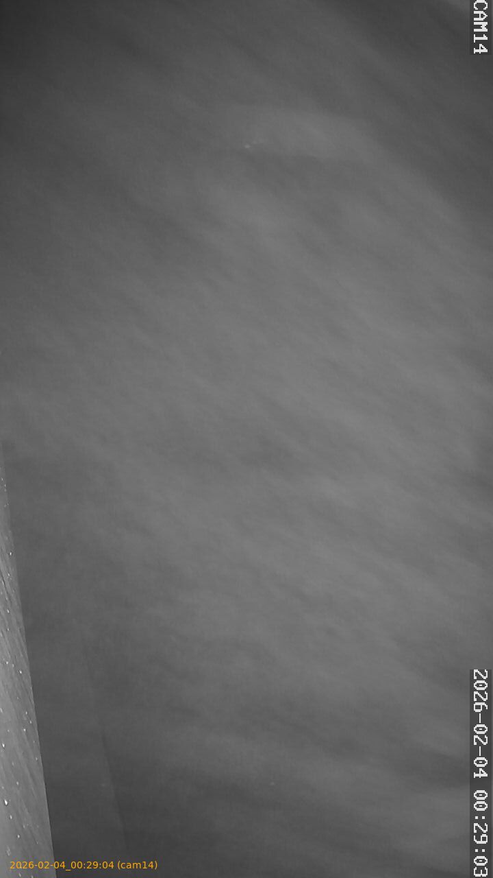 thumbnail_20260204002904