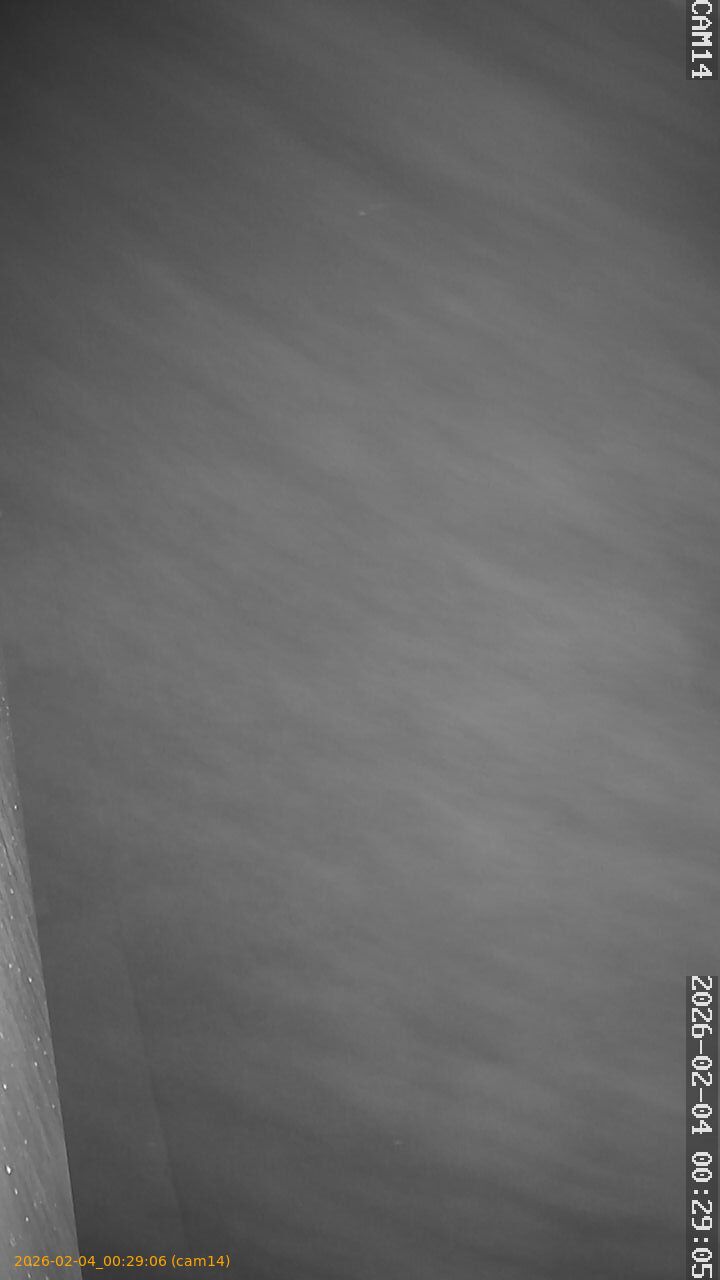 thumbnail_20260204002906