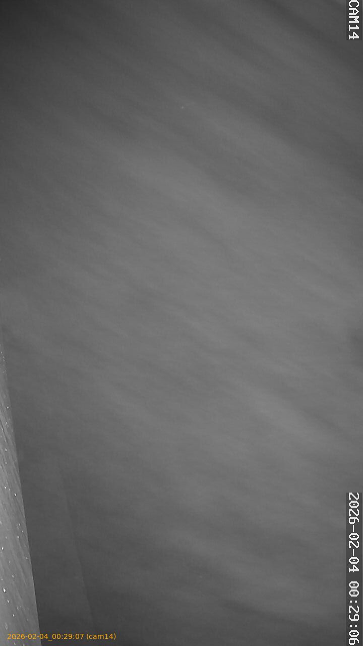 thumbnail_20260204002907