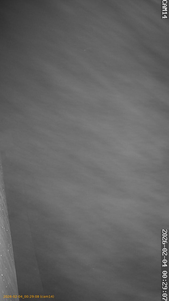 thumbnail_20260204002908