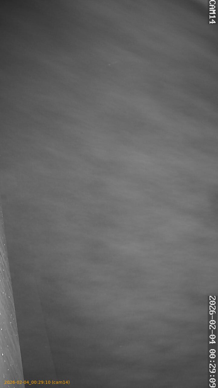 thumbnail_20260204002910