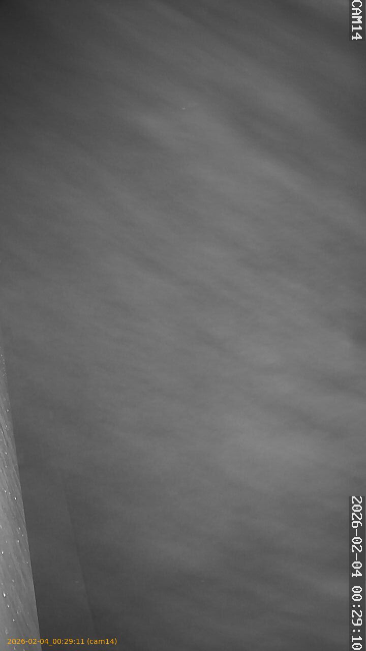 thumbnail_20260204002911