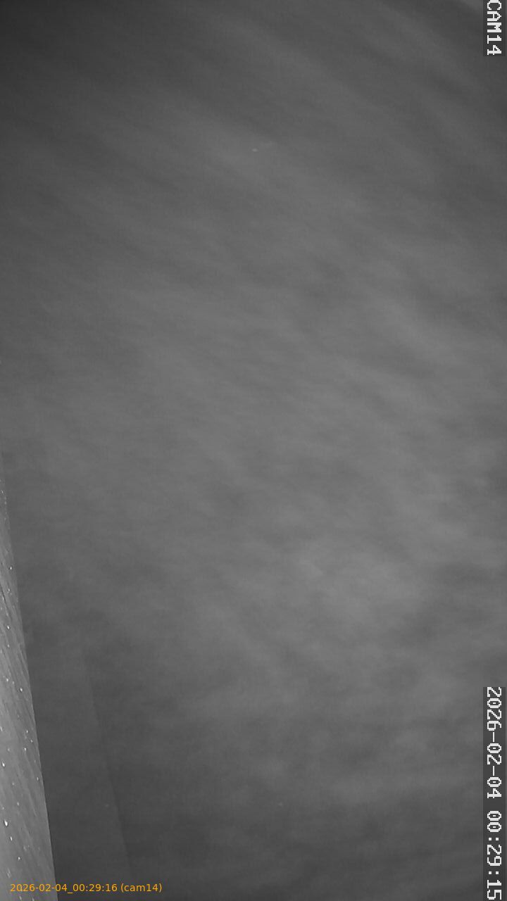 thumbnail_20260204002916