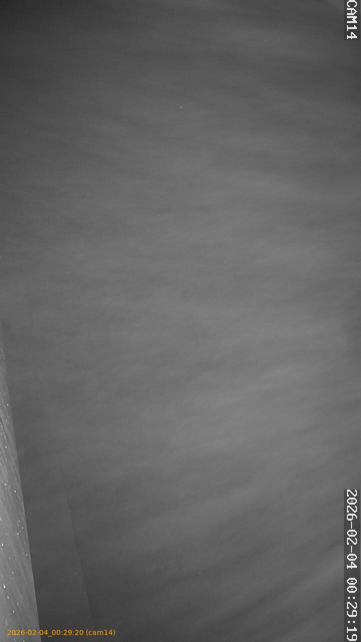 thumbnail_20260204002920