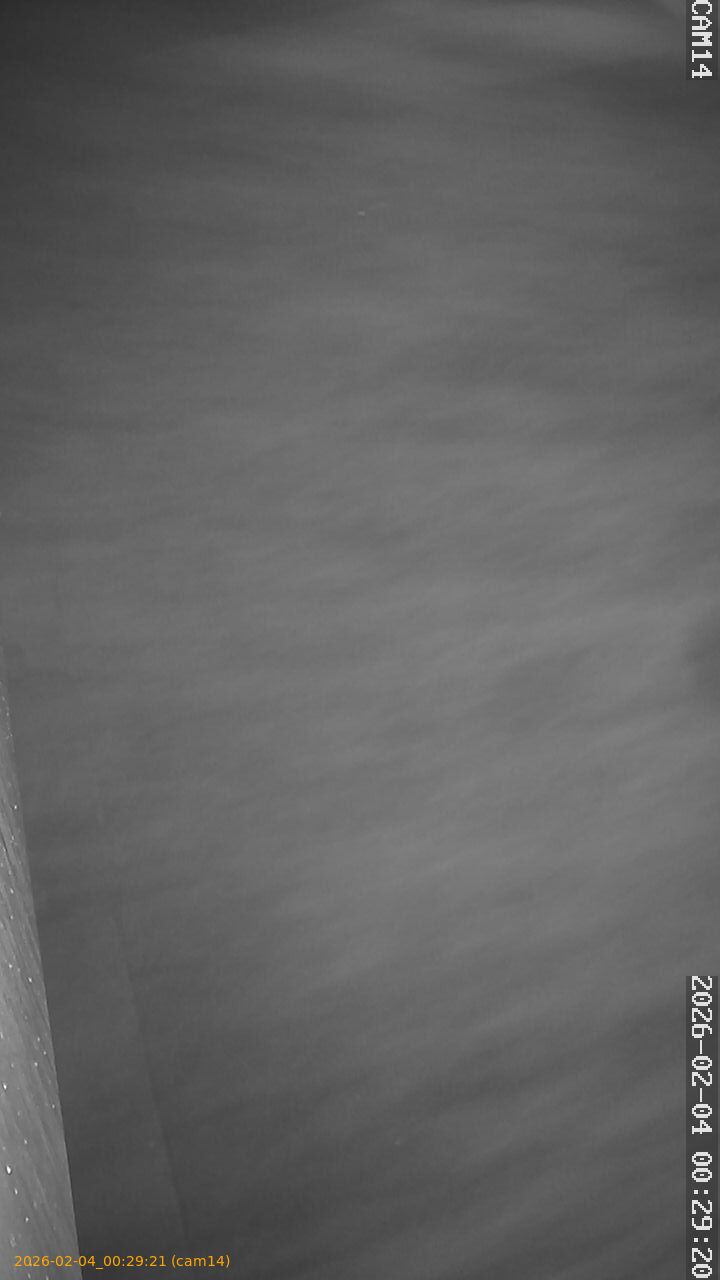 thumbnail_20260204002921