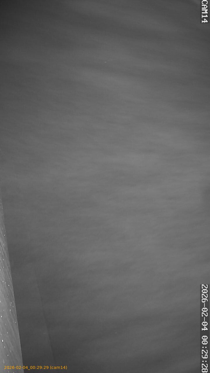 thumbnail_20260204002929