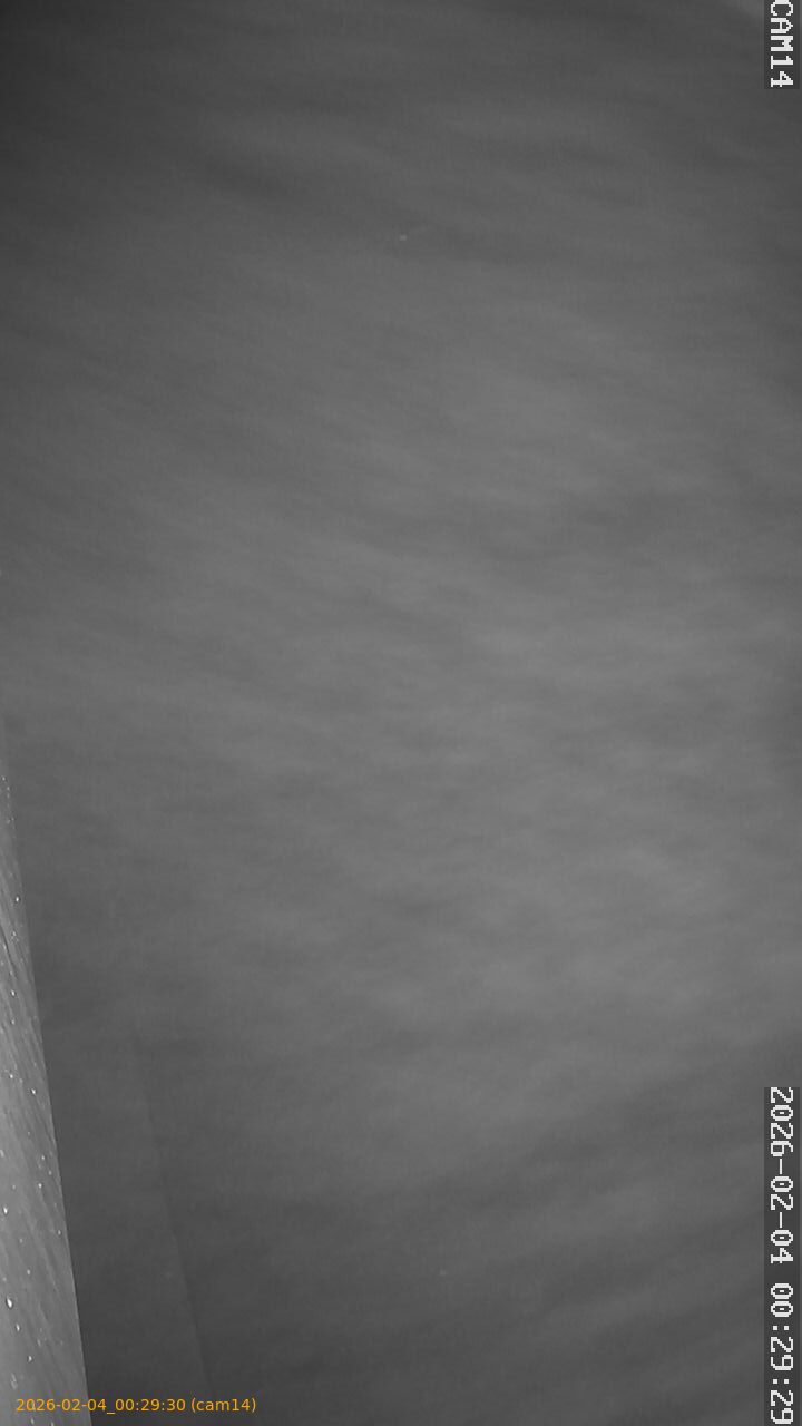 thumbnail_20260204002930