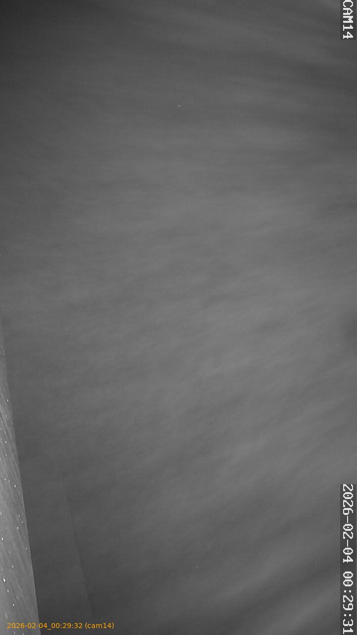 thumbnail_20260204002932