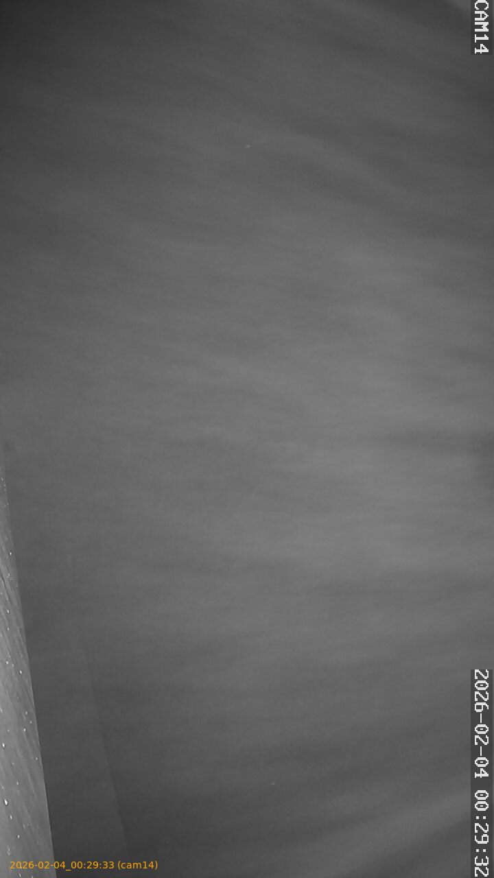 thumbnail_20260204002933