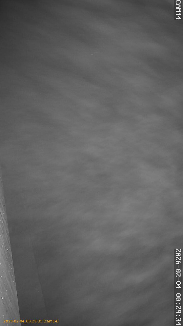 thumbnail_20260204002935