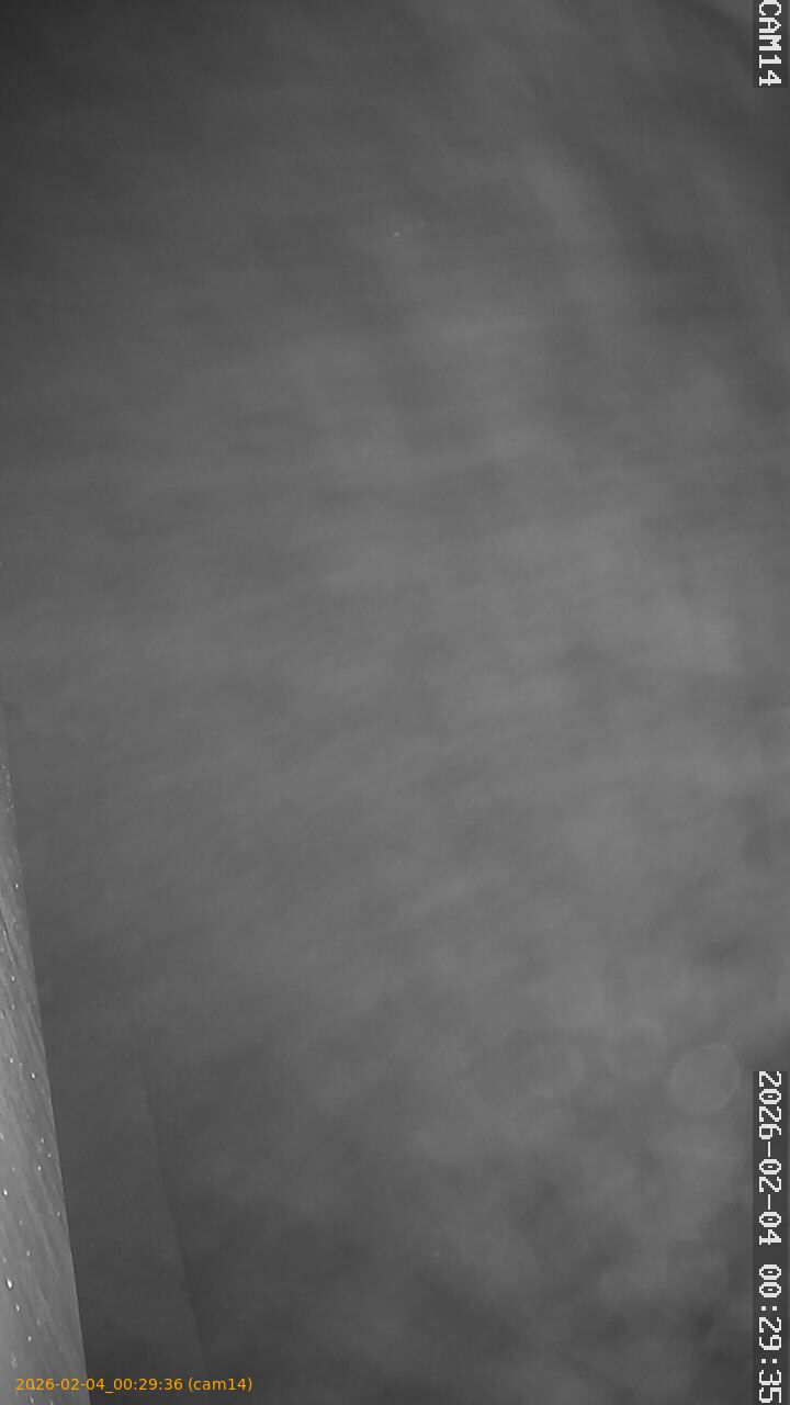 thumbnail_20260204002936