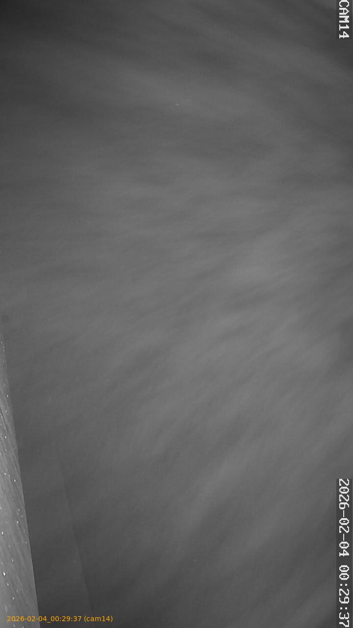 thumbnail_20260204002937