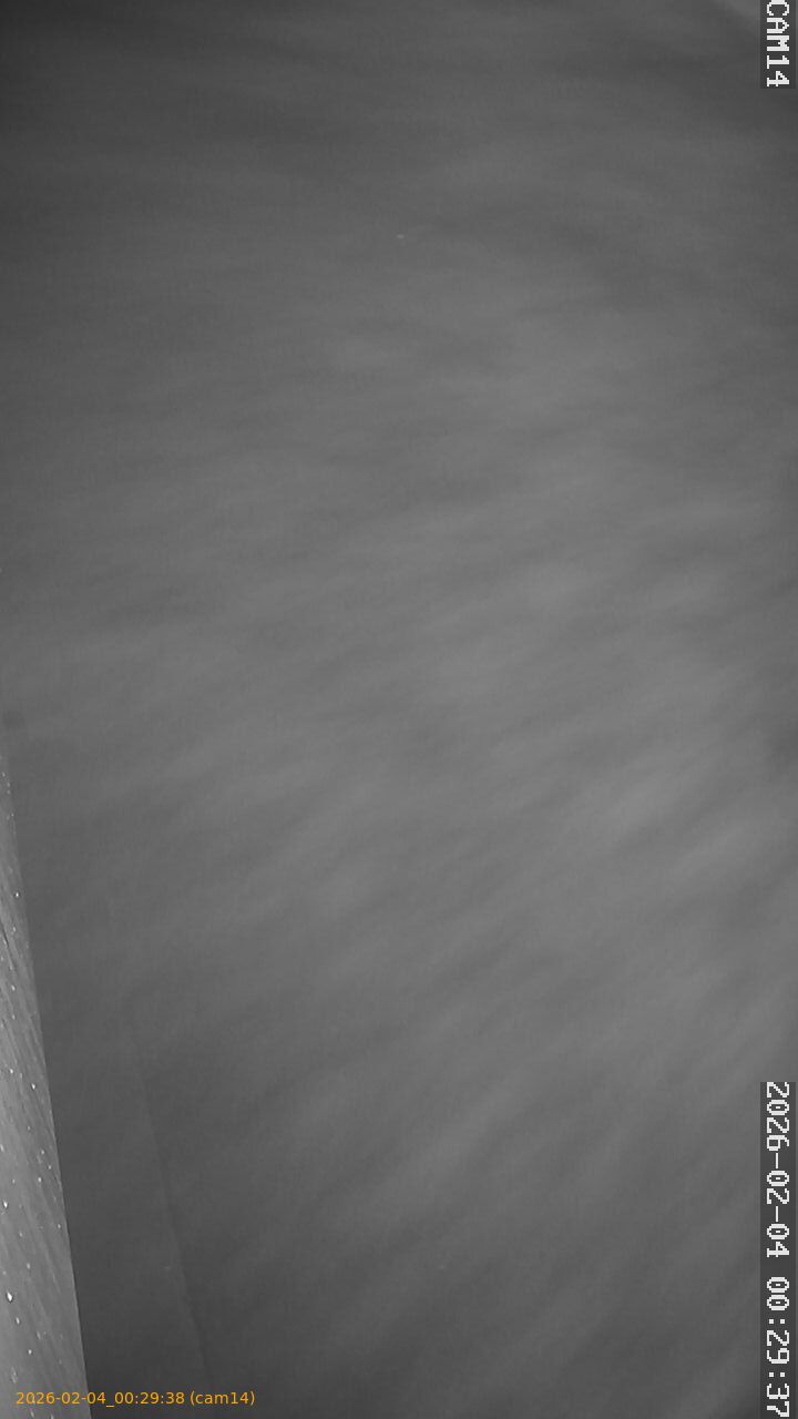 thumbnail_20260204002938