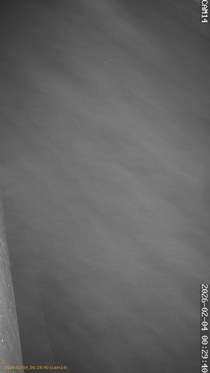 thumbnail_20260204002940