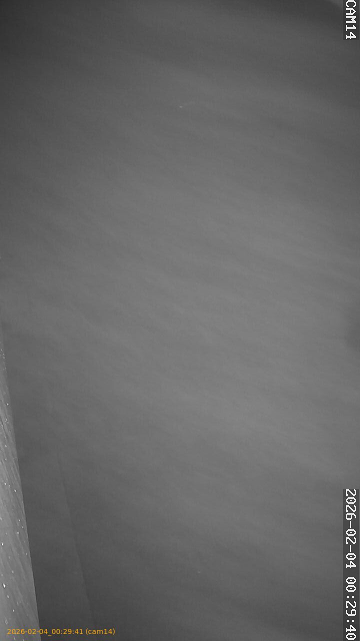 thumbnail_20260204002941