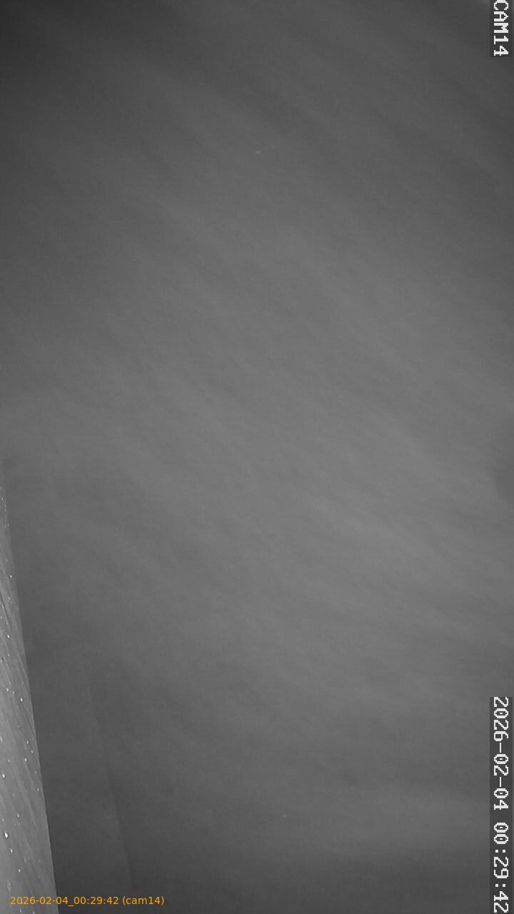 thumbnail_20260204002942