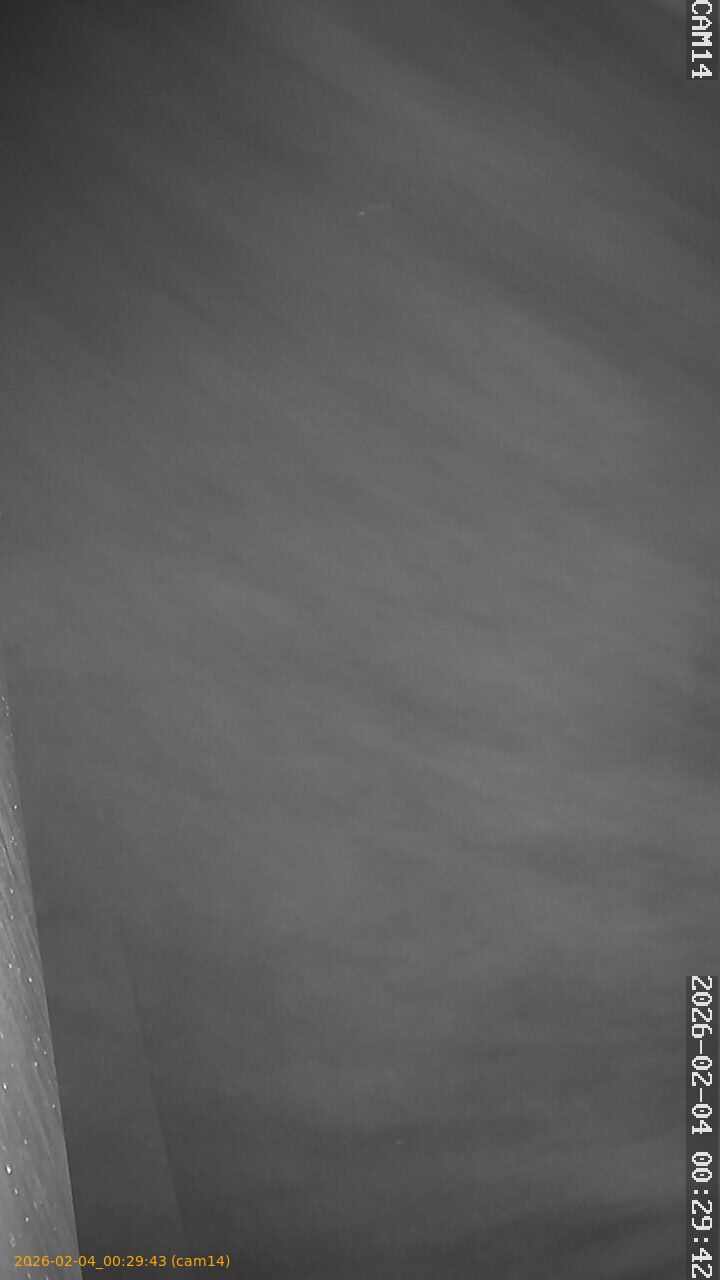 thumbnail_20260204002943