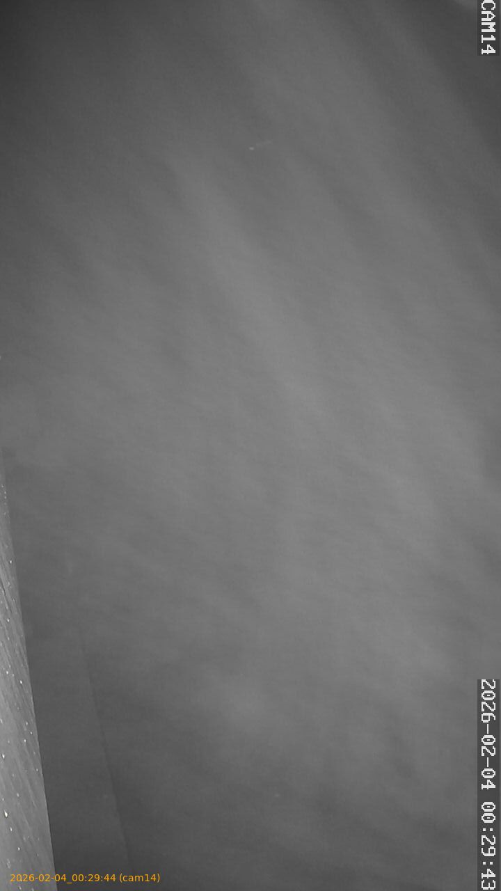 thumbnail_20260204002944