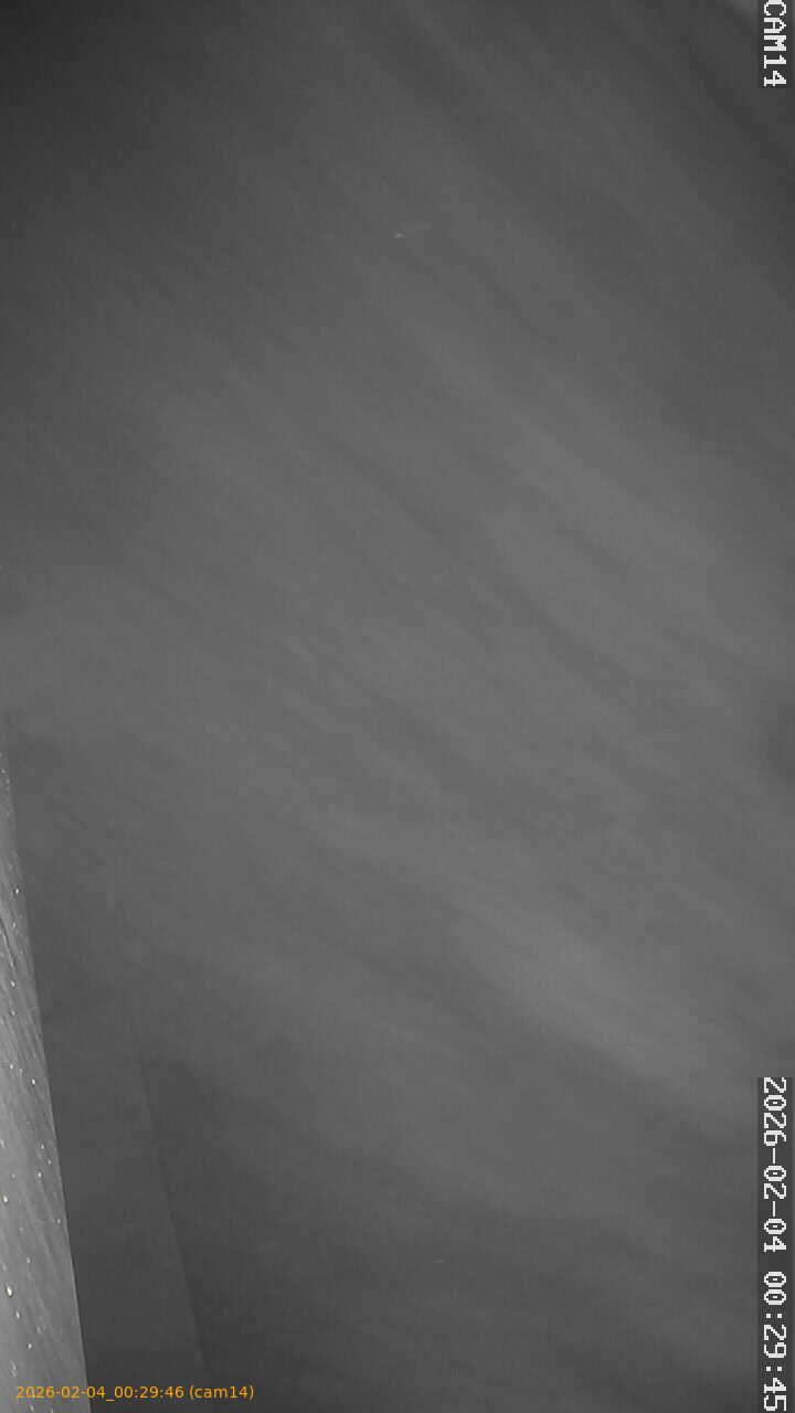 thumbnail_20260204002946