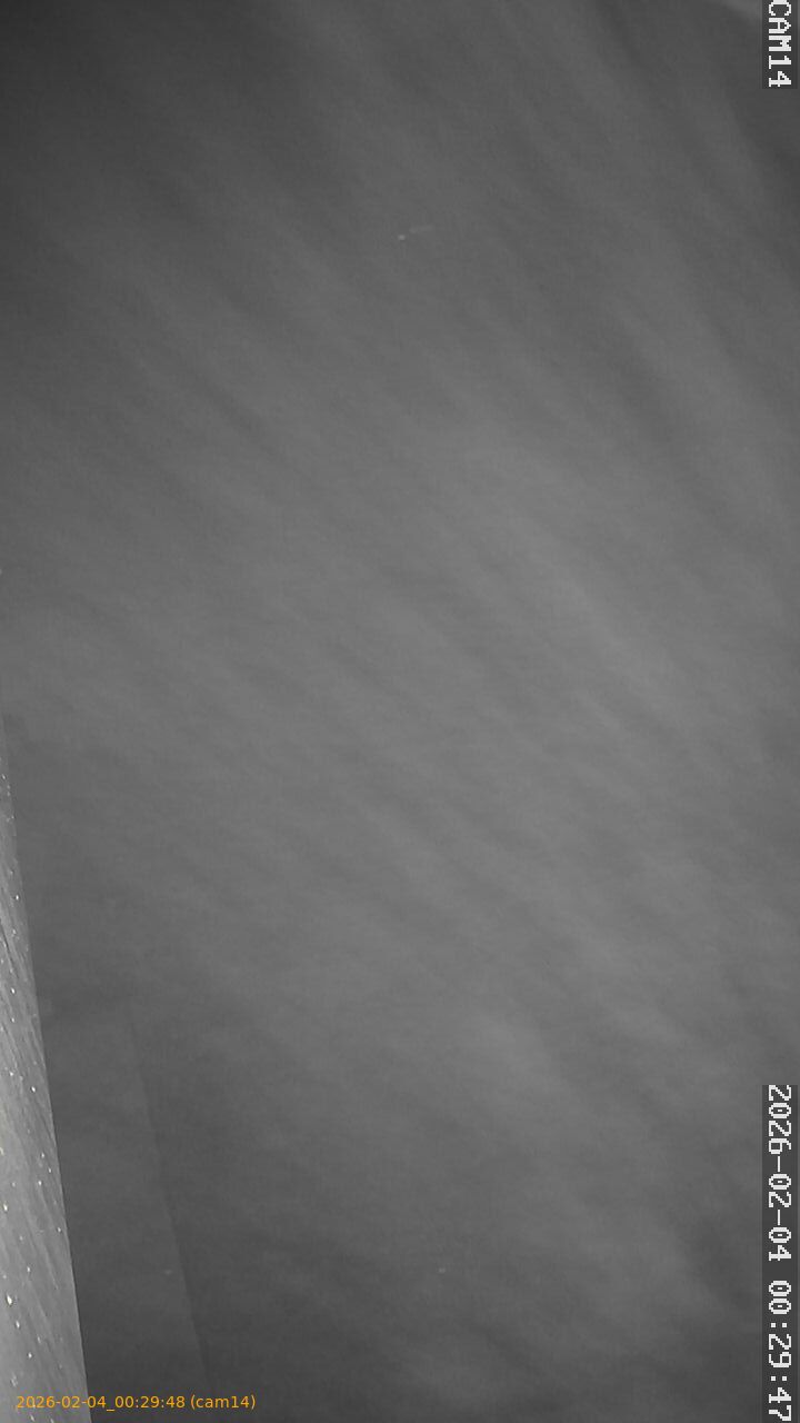 thumbnail_20260204002948