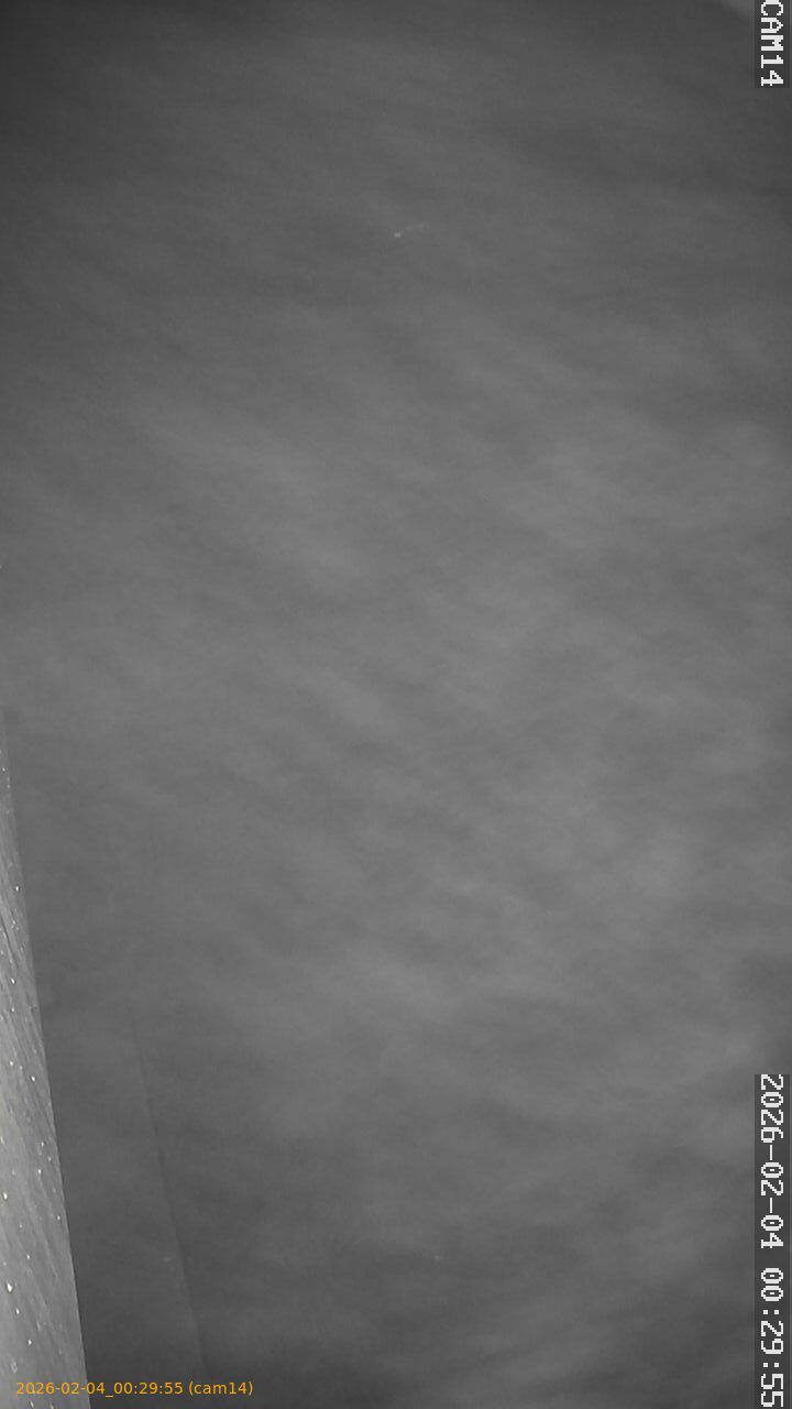 thumbnail_20260204002955