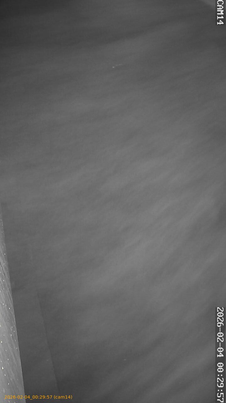 thumbnail_20260204002957