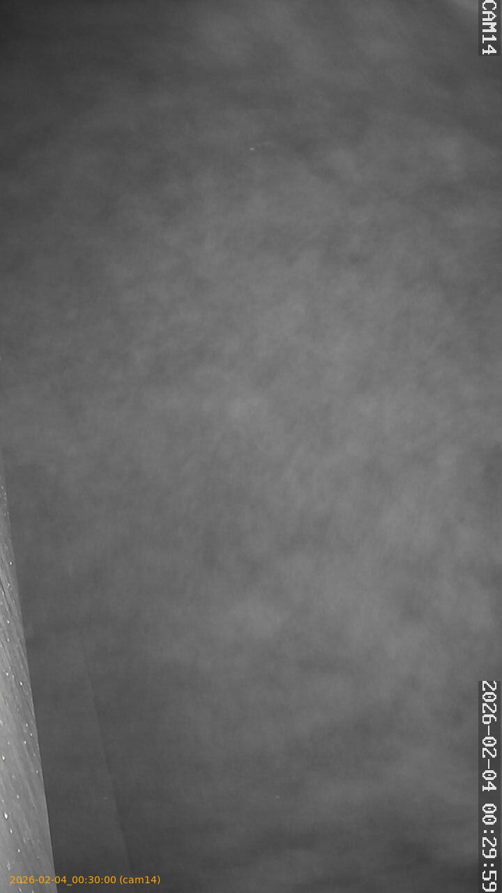 thumbnail_20260204003000