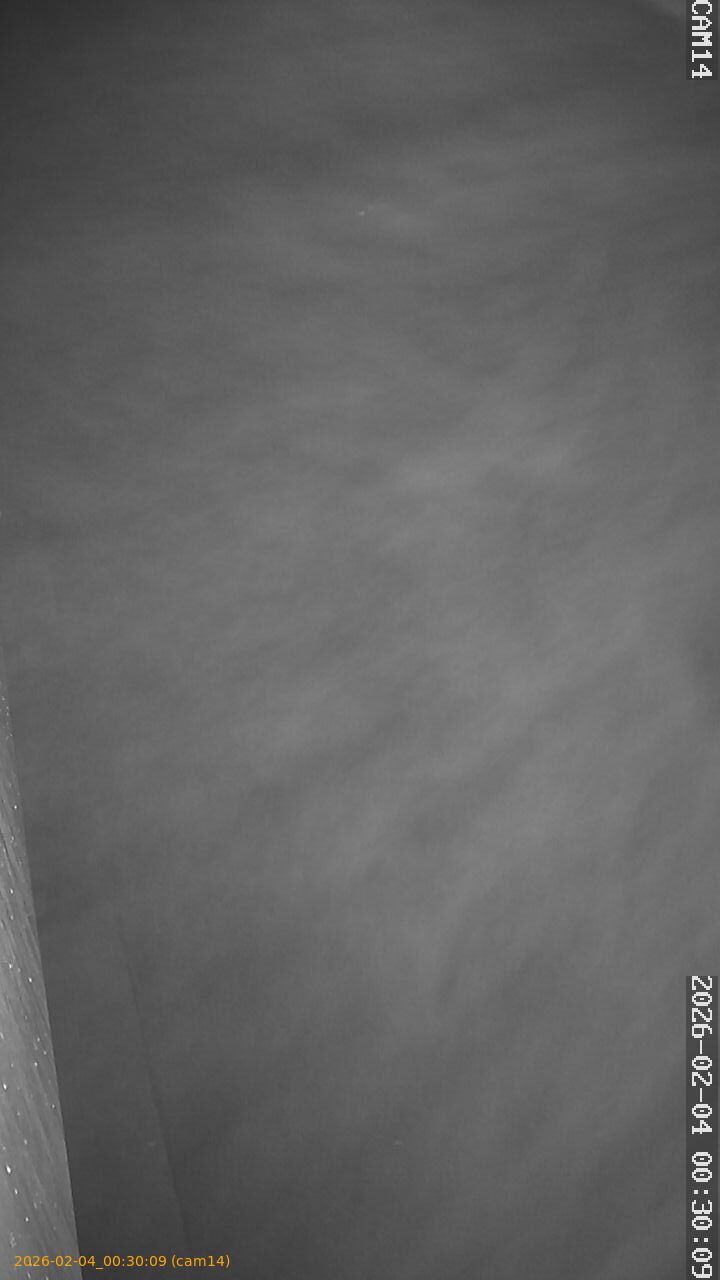 thumbnail_20260204003009