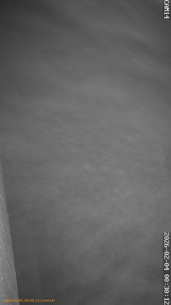 thumbnail_20260204003012