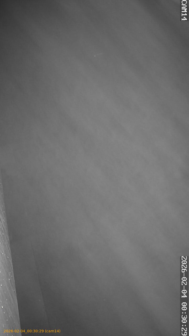 thumbnail_20260204003029