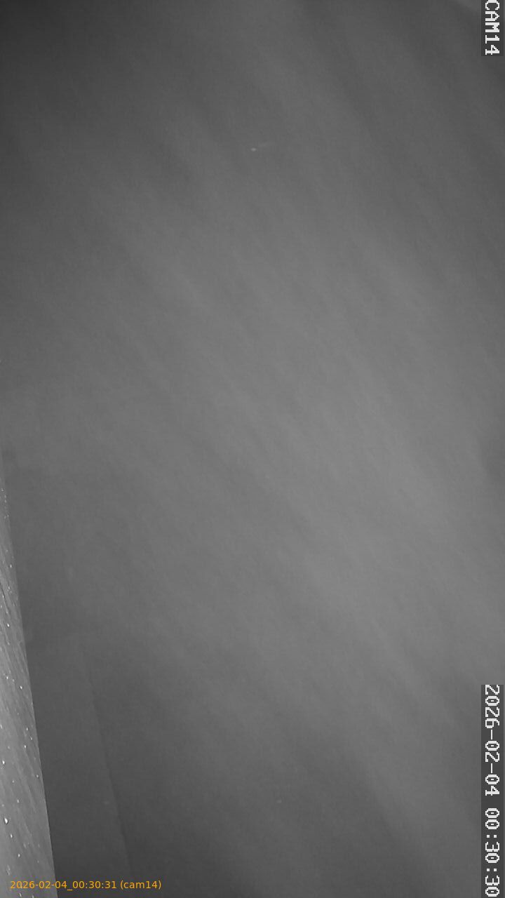 thumbnail_20260204003030