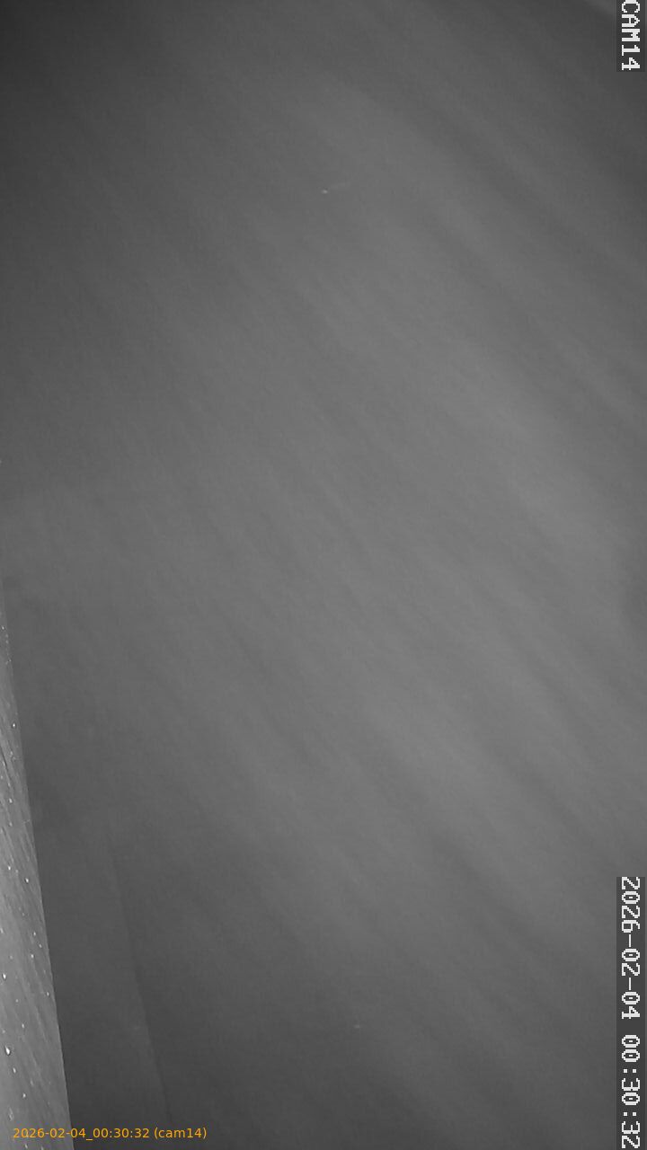 thumbnail_20260204003032