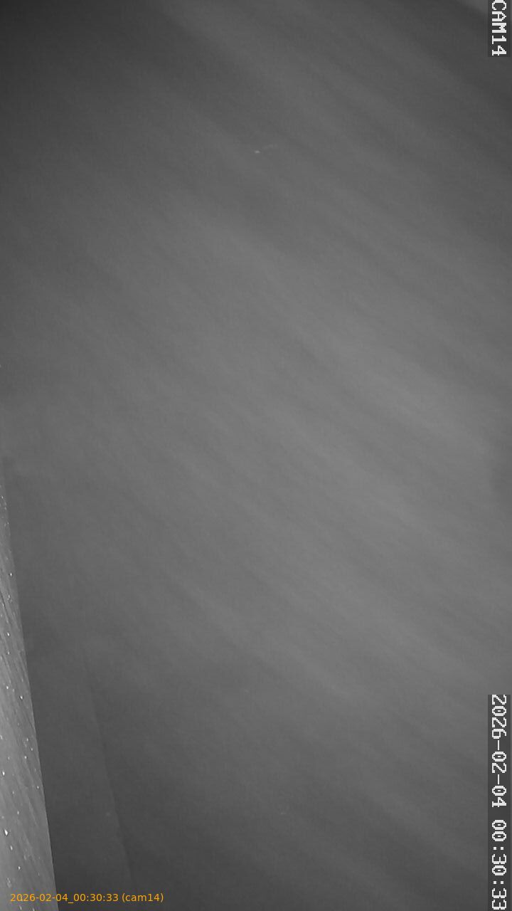 thumbnail_20260204003033