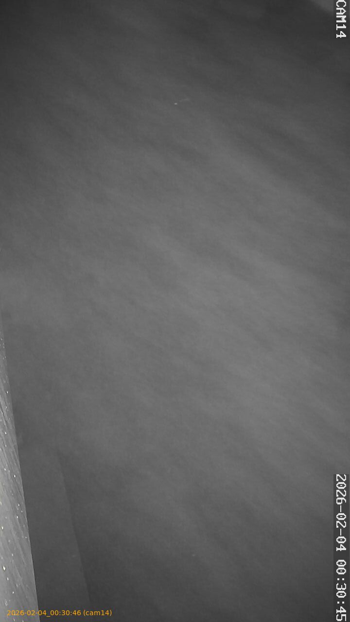 thumbnail_20260204003046