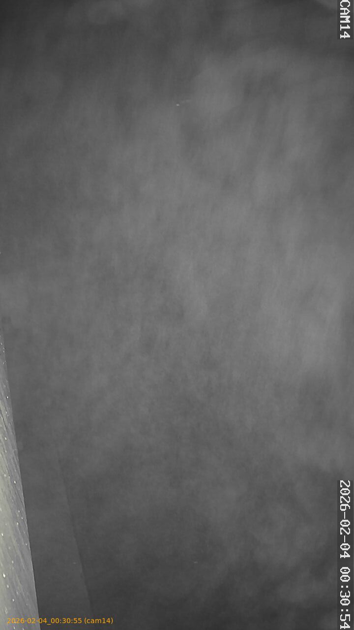 thumbnail_20260204003055