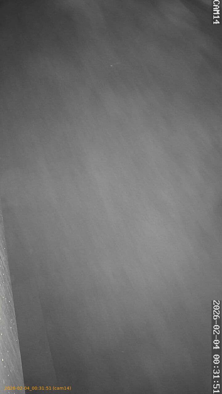 thumbnail_20260204003151