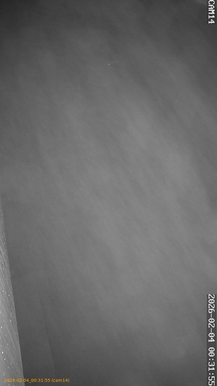 thumbnail_20260204003155