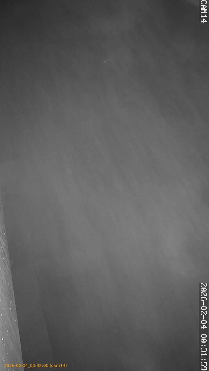 thumbnail_20260204003200