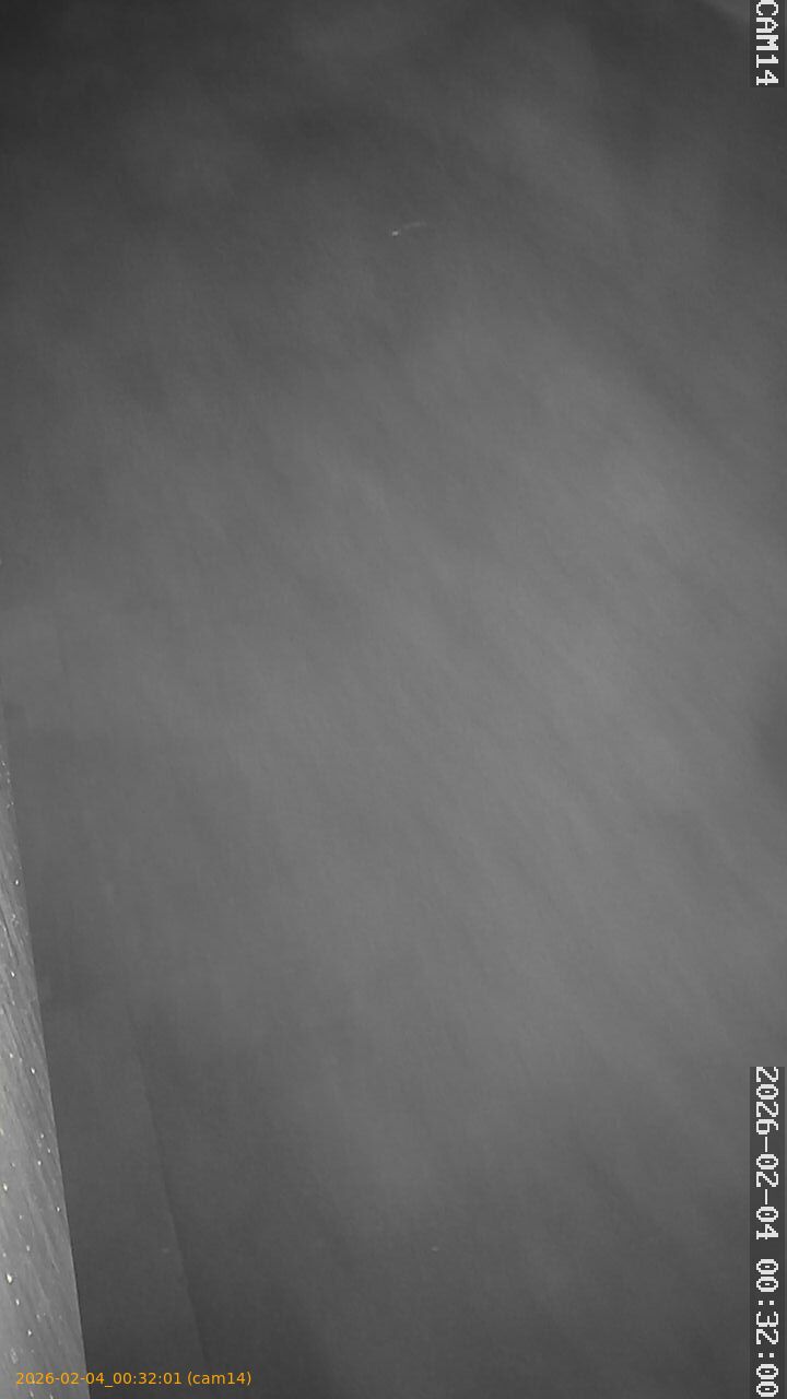 thumbnail_20260204003201