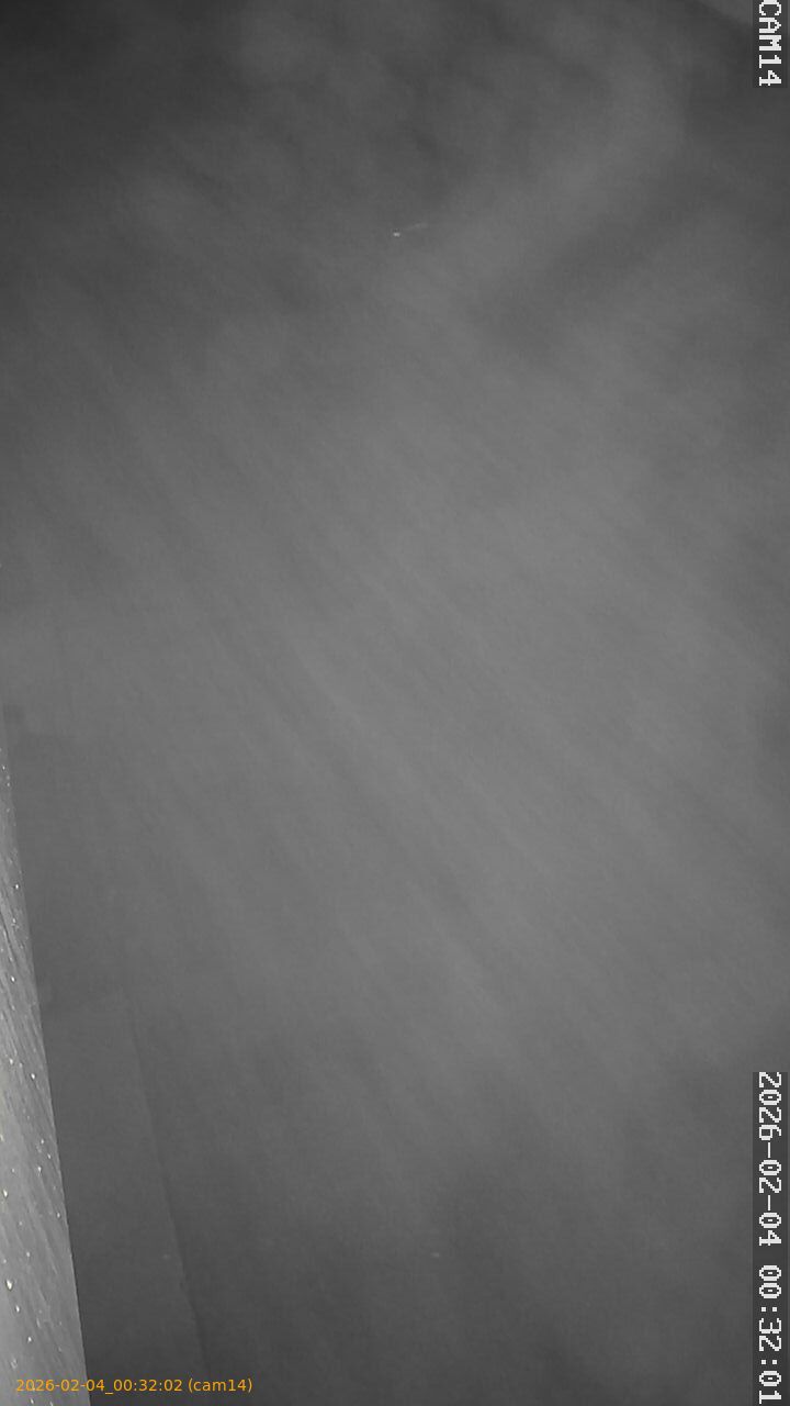 thumbnail_20260204003202