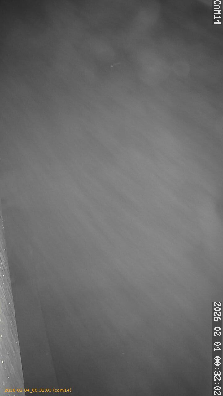 thumbnail_20260204003203