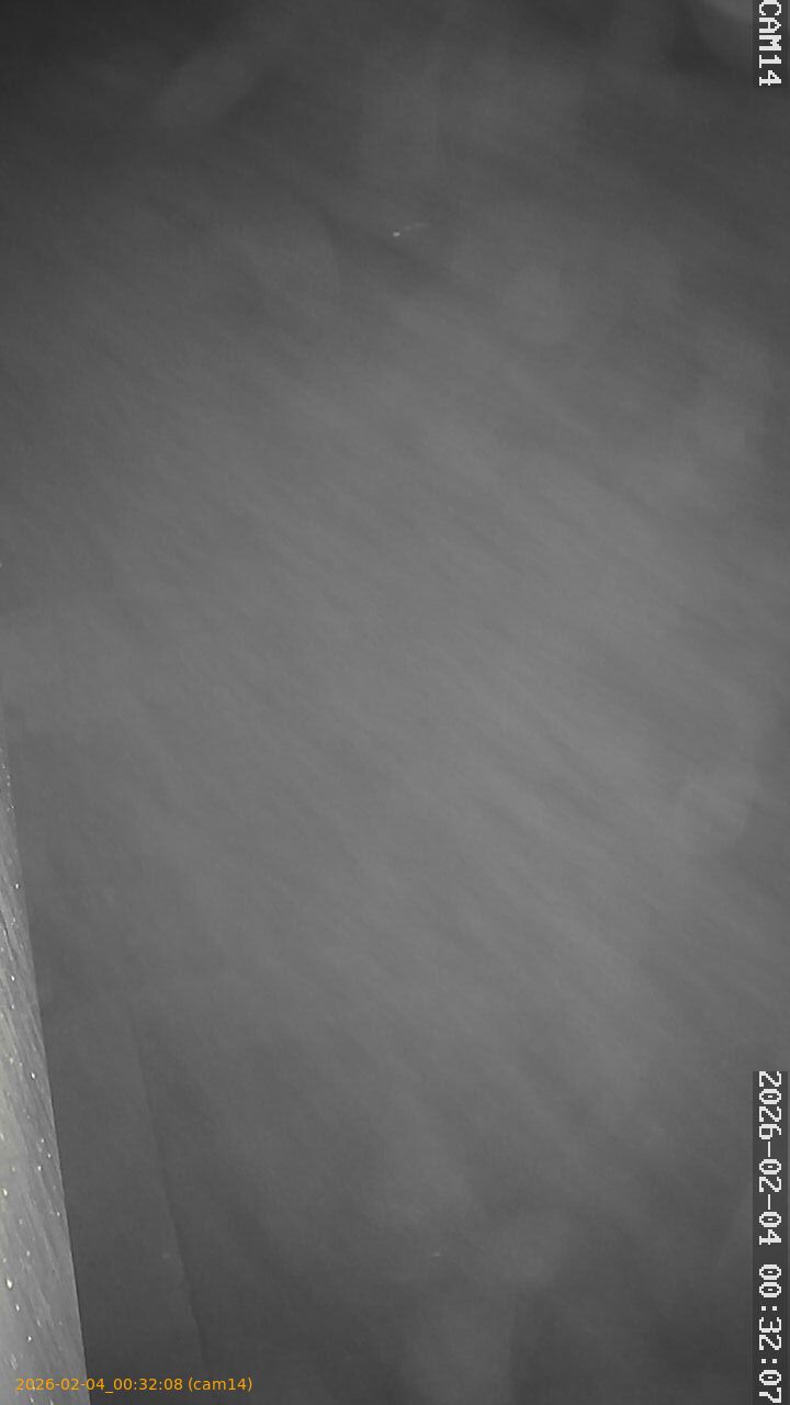 thumbnail_20260204003208