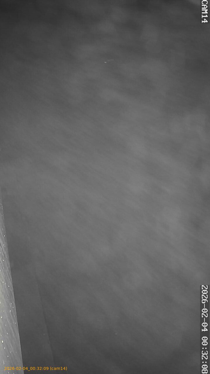 thumbnail_20260204003209