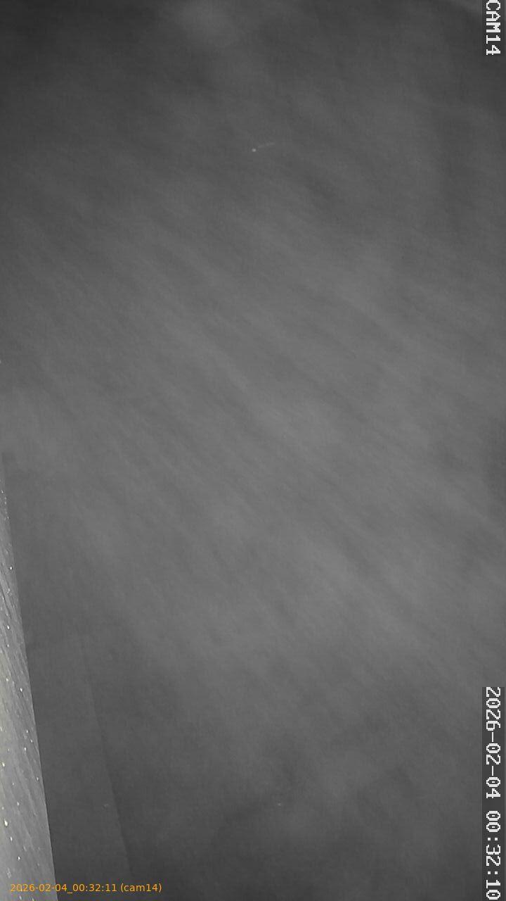 thumbnail_20260204003211