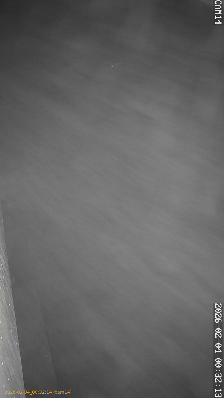 thumbnail_20260204003214