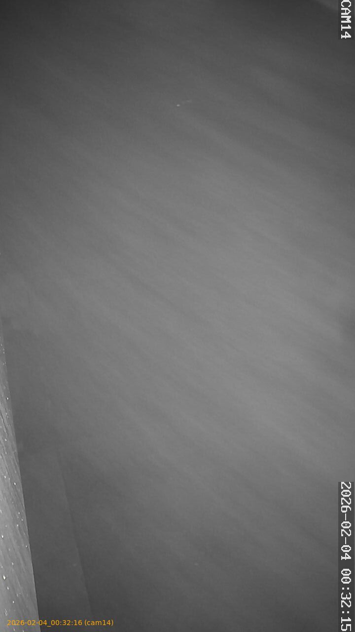 thumbnail_20260204003216