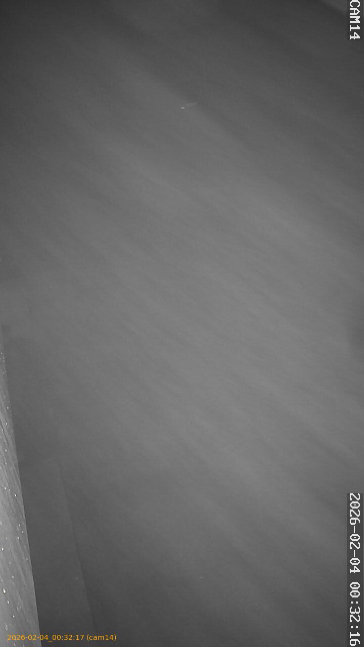 thumbnail_20260204003217