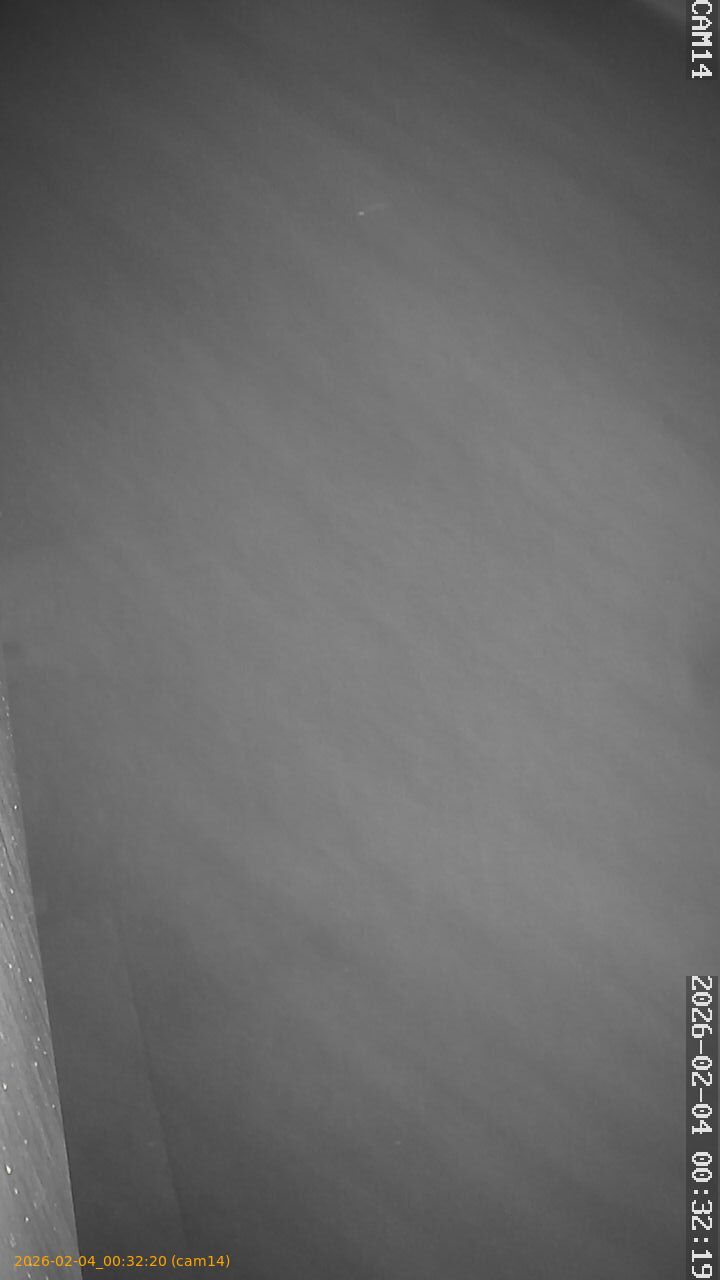 thumbnail_20260204003220