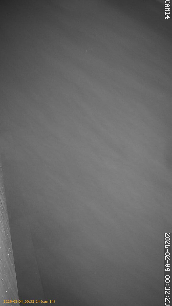 thumbnail_20260204003224